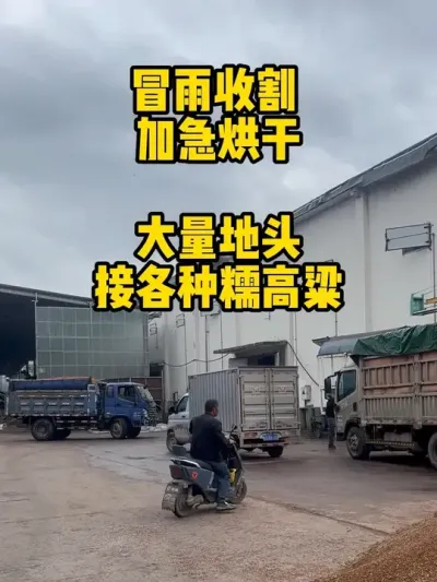 #չ #ݪֲ  ũмֳϰ