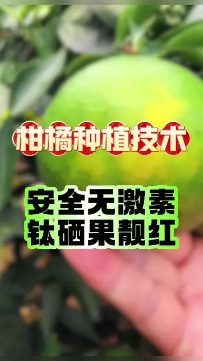 תɫһҪ#ݪֲ #תɫ #ٹ # #ũҵݪֲ