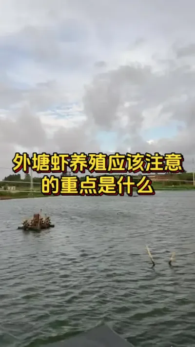 #ĶϺ#οˮ#ο#׶Ϻֳ#ˮֳ