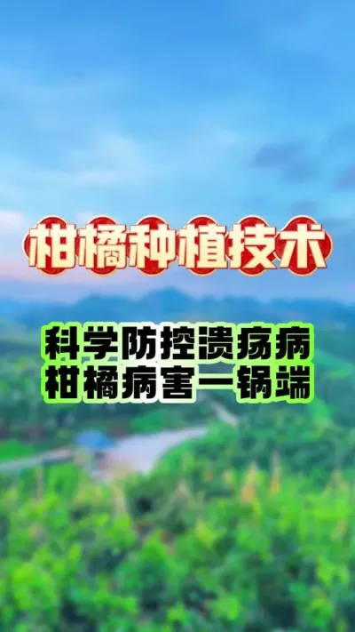 ôתɫڸ徲##ݪֲ # #ٹ #ũҵݪֲ