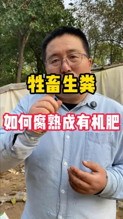 л #л #л #л #ũҵݪֲ #ݪֲ