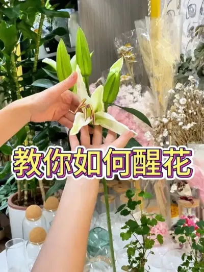 ѻ# #С֪ʶ #ֲ # #˵Ȥ