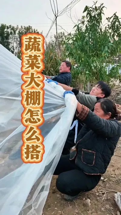 ߲˴ô ˸߲˴#߲ݪֲ #߲˴ # #߲ݪֲ #ũ