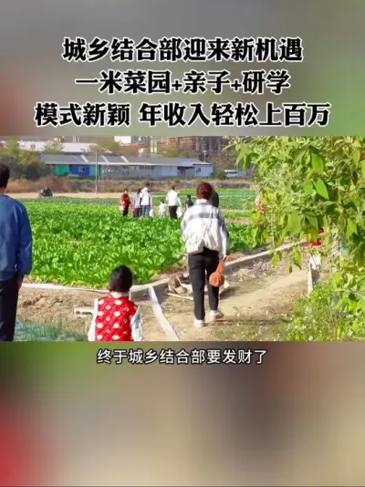 乡村发展迎来新机遇，一米菜园加亲子加研学，模式新颖，年收入轻松上百万！#共享菜园 #农场 #新农人 #乡村振兴