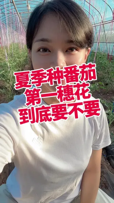 #ݪֲ#ݪֲ#ѿֽ һ뻨ҪҪ#ũҵ֪ʶũ #ũҵС֪ʶ  µ@С