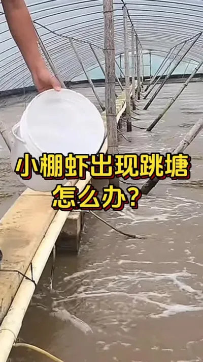 #οˮ#ĶϺ#׶Ϻֳ#θ#׳