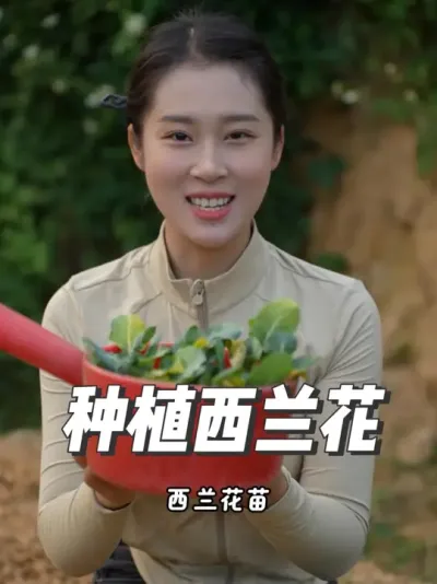 ݪֲ #ݪֲС#ҵ #ҵݪֲ