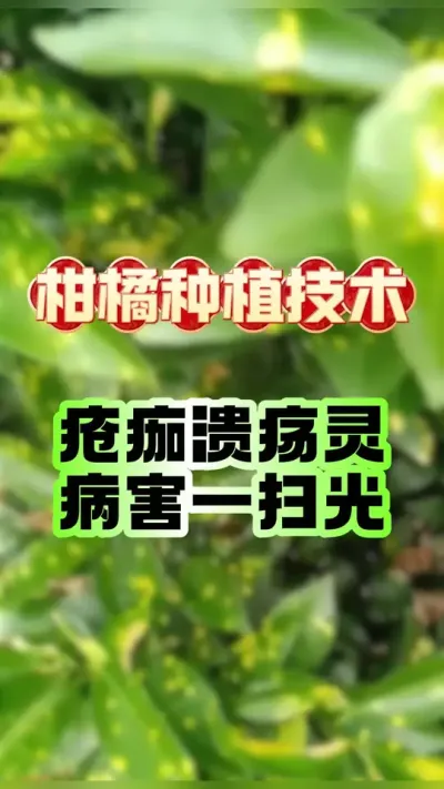 #������ �������������������Ҳ����#��԰���� #����ݪֲ #��ũݪֲ #��ũ������