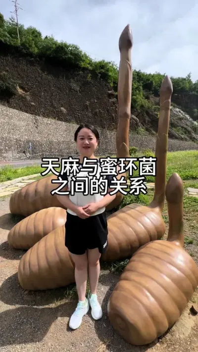 �������ۻ���֮��Ĺ�ϵ #��ũ������ #һ��ƽ������ #һ��ƽ������ @����С����