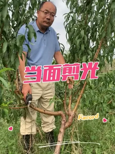  ѧ޼.޼ҪЩȫ#޼ #޼