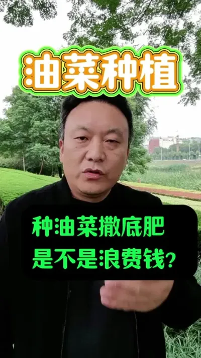 Ͳ׷ǲ˻Ǯ#Ͳݪֲ #Ͳ˵׷