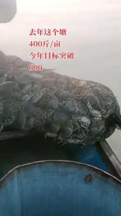 ǽĶǼ࣡#բз#зֳ #зֳ#˻բз #ˮֳ