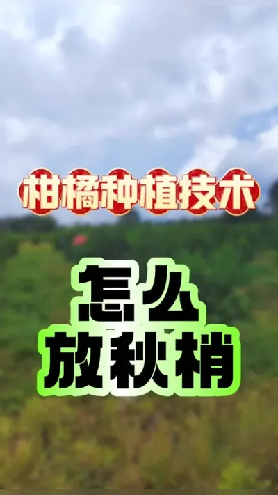 ôһƵ#ݪֲ #ٹ # #ũҵݪֲ #ũ