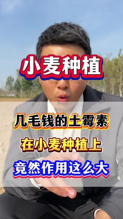 #小麦种植 #小麦高产 #小麦种植管理技术 #种植小知识  #农业种植