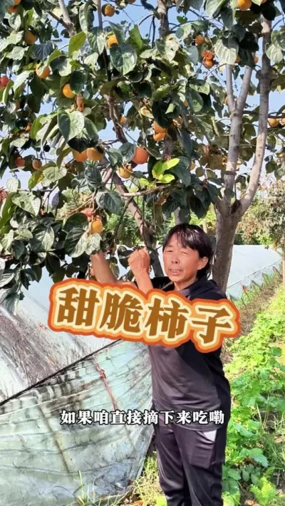 #ũ # #߲ @DOU+С @С @DOU+