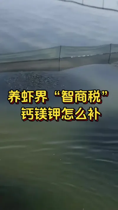 ##ĶϺ#οˮ#׶Ϻֳ#θ#׳