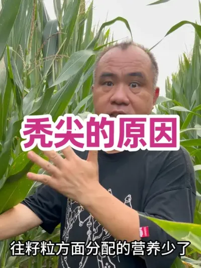 ͺԵԭ ڷֳʧԵԭվˮ˳ʧ#ũҵݪֲ