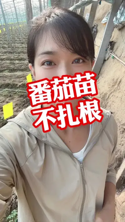 ###ݪֲ##¼ҵݪֲ עղת @С