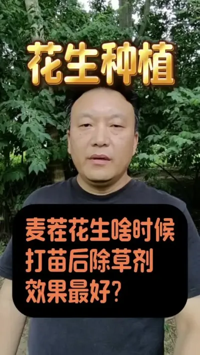 ������������#����ݪֲ�������� #��������