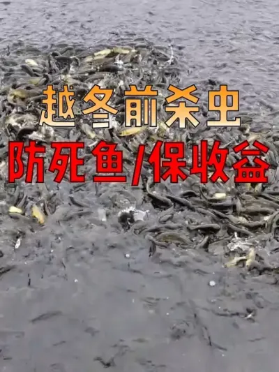 ܰѣԽǰɱϹ㣡3 ٿౣ#  #  #ˮֳ  #Դ #޿