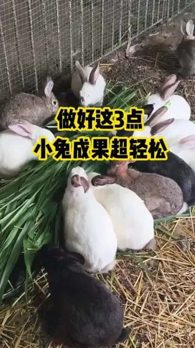 3Сóɻ#ũ##ֳ