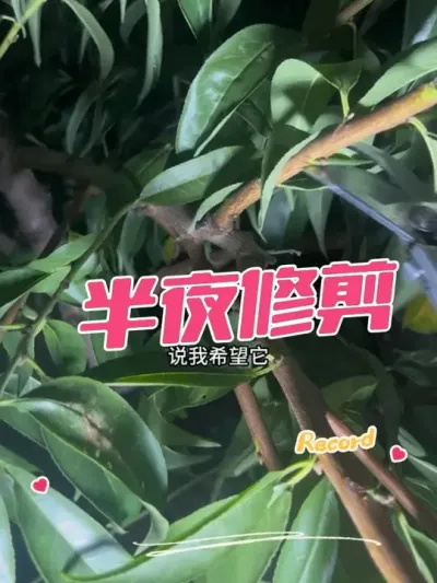 ޼ ֦ɱӹϵҪȷ޼#޼ #޼