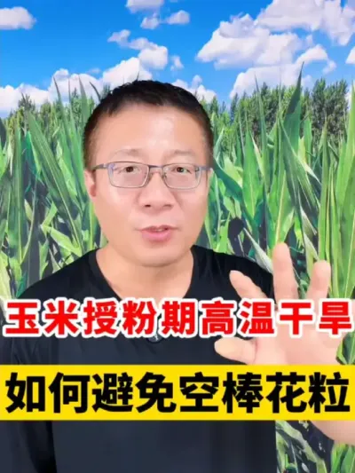 ڷ¸ɺֹհﻨ #ݪֲ #ݪֲ #׹ #ũҵݪֲ #ũҵݪֲ