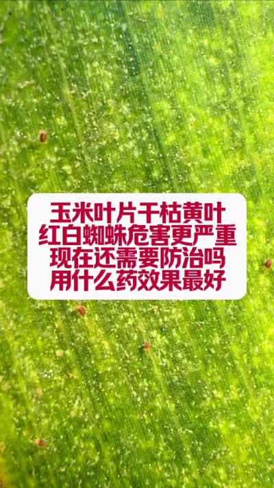 ׺֩Σô #ֲС֪ʶ #ݪֲС #ũҵݪֲ #ũҵ֪ʶ #ݪֲ