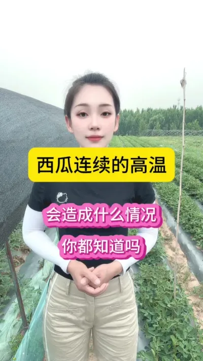 #������ũ #����������ũ