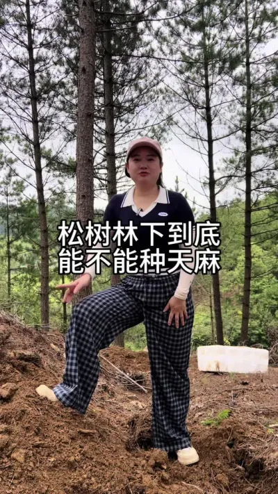 ¾ܲ #ũݪֲ #ݪֲ #ҩݪֲ @С