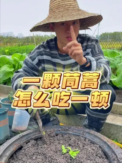 һôһ~ #ݪֲС #ֲ #עһѧֲ #ԼֵĴȻɫ߲ #ݪֲ