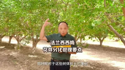 ÷ѿֽҪ#ũ#٤ʦ÷#÷ݪֲ#ũշͬ#