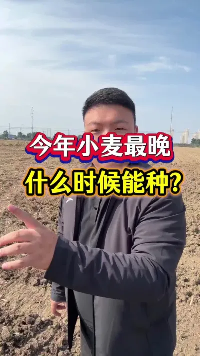 Сʲôʱ #С #Сݪֲ #ũҵС֪ʶ