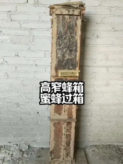 խ۷#۷ֳ #ҵ #ũ2025