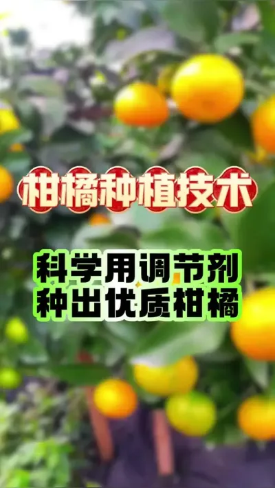 徲תɫ#ݪֲ #԰ #ٹ #תɫ