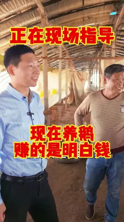 ׬ȷǮֳָ# # # # #ʨͷ