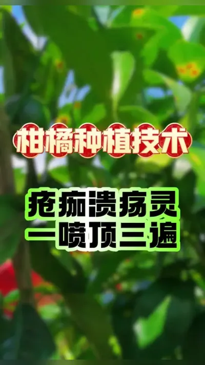 徲ҩɸ΢#ũҵݪֲ #ݪֲ #ٹ # #ũ