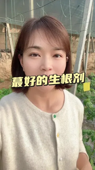 #ݪֲ##¼ҵݪֲ#EMҺ# СƳµ@С