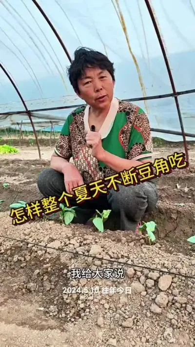 怎样整个夏天不断豆角吃呢！#三农 #豆角 #豆角种植 #蔬菜杨大姐 #蔬菜种植 @抖音创作小助手 @DOU+小助手 @DOU+上热门