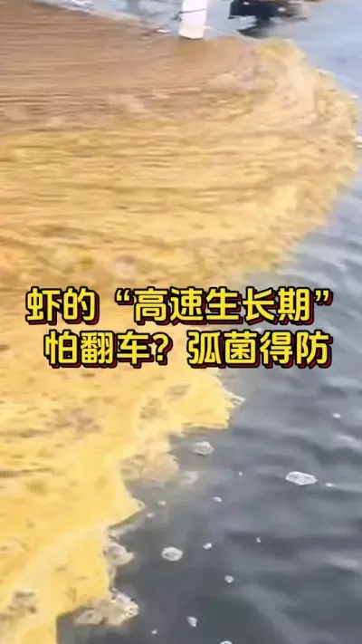 #ĶϺ#οˮ#׶Ϻֳ#ο#ˮֳ