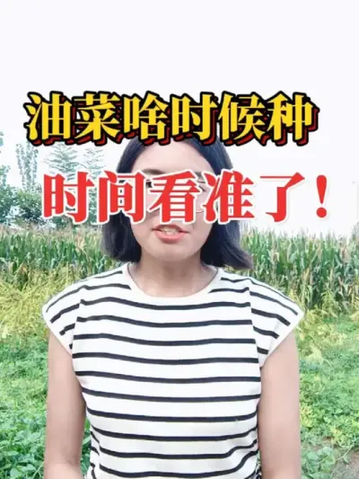 2025ͲɶʱͲݪֲʱһÿ׼ˣ#ũҵݪֲ #ũݪֲ #Ͳ  #Ͳݪֲʱ #2025ũ