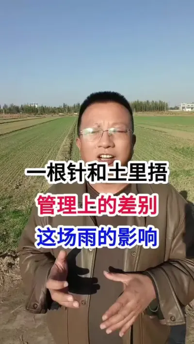 һϵĲⳡӰ һϵĲⳡӰ#Сݪֲ #Сݪֲ #ũҵ #С߲ #С߲