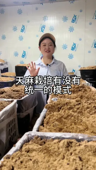 ����ݪֲ��û��ͳһģʽ #����ݪֲ���� #���շ���#��ũ@����С����