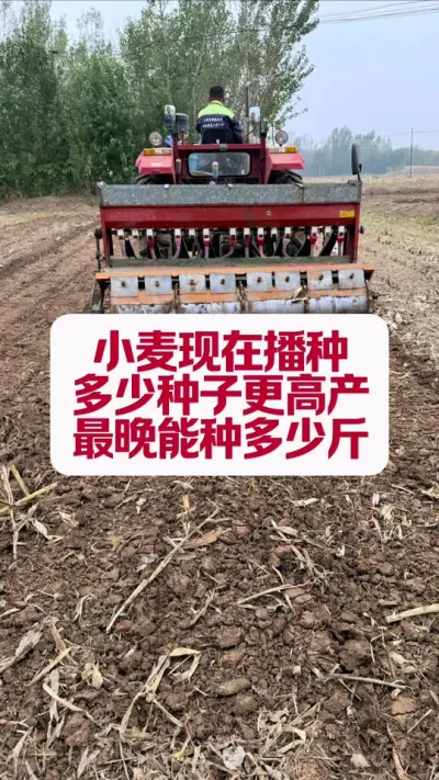 СھҪּ #ũҵݪֲ #ũ #ũũ #ũҵ