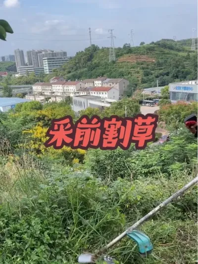 ٲǰ#ũݪֲ #ݪֲ #ũũ #ũ #ũ