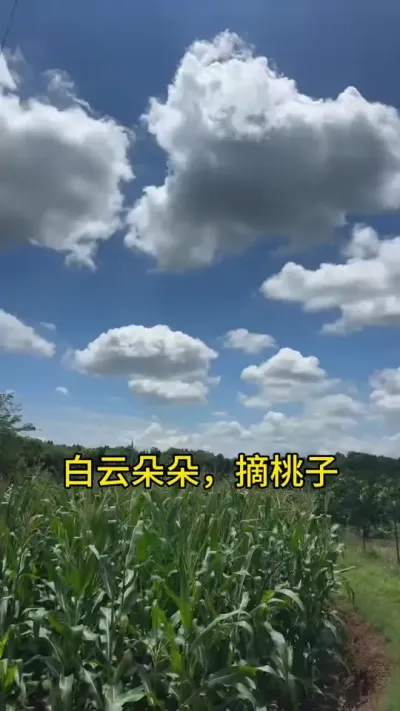 # #ܴȻ #ũ #ũݪֲ #Ұ