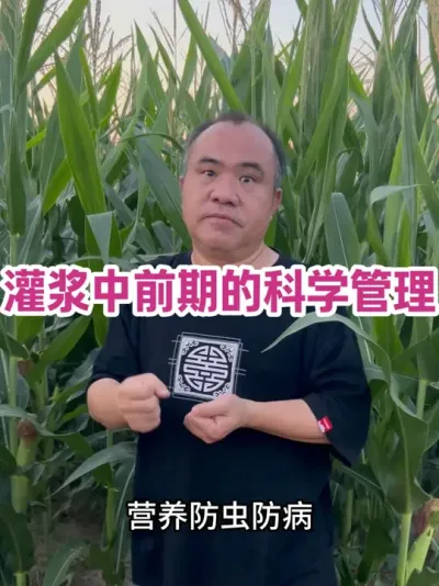 ཬǰڵĿѧ ཬҪˮЭҪв溦ţߵҶʸҪ#ũҵݪֲ