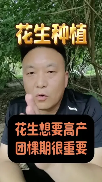 �����ſ��ڹ�����Ҫ����#����ݪֲ�������� #�����ײ�