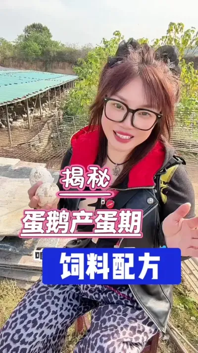 ء쿪䷽# #շ ##ũ崴ҵֳ