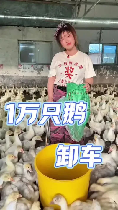 ĵ1ֻж# ##ũ崴ҵֳ